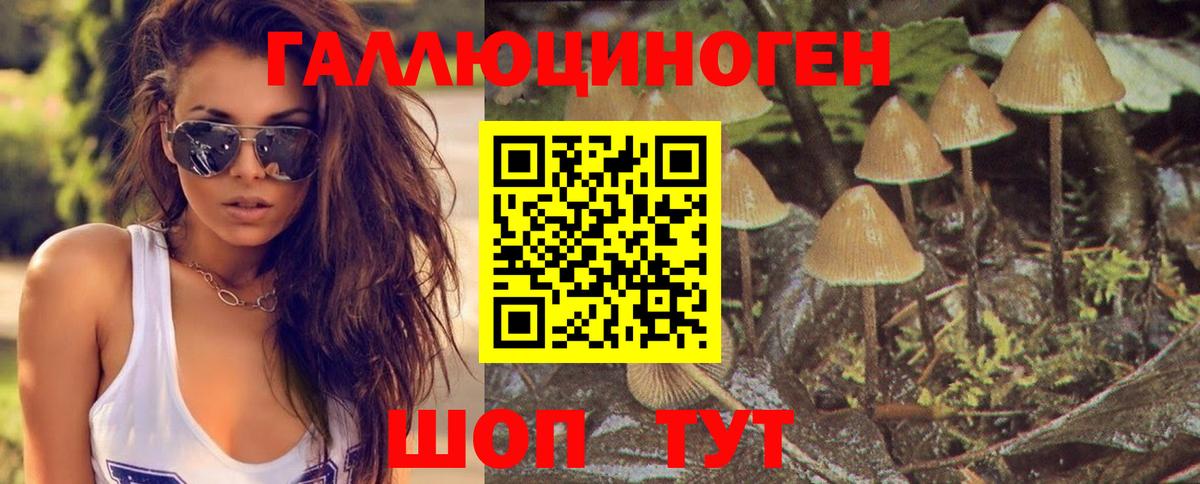 Галлюциногенные грибы Cubensis  магазин продажи   Псилоцибиновые грибы прущие грибы  Кудымкар  Вход с VPN 