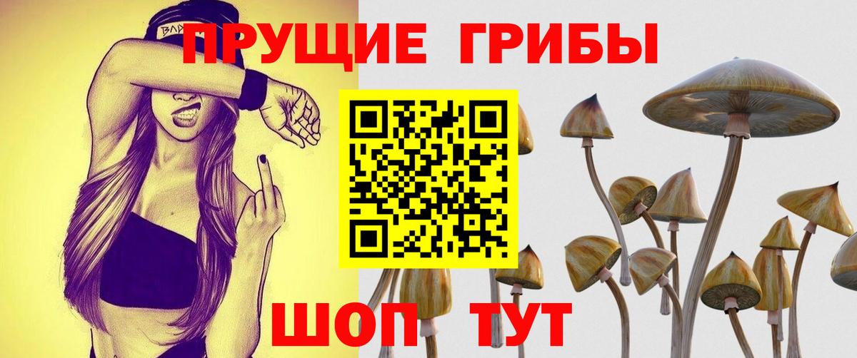 Псилоцибиновые грибы прущие грибы Кудымкар